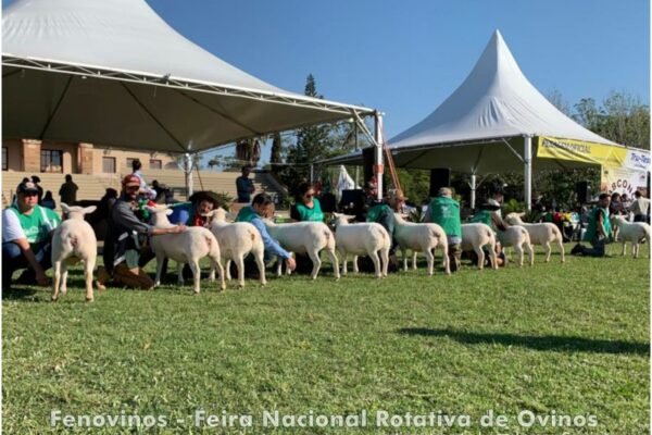 Feira Nacional Rotativa de Ovinos - Fenovinos - Site Feiras Comerciais no Rio Grande do Sul