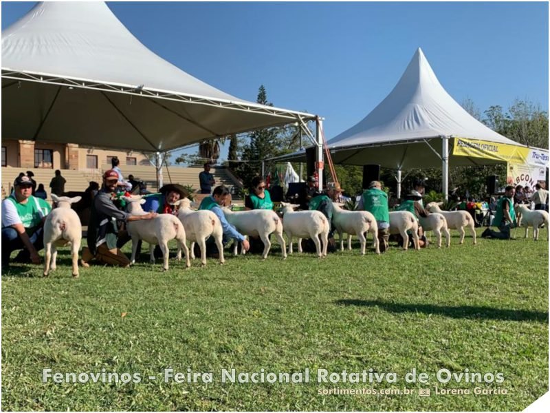 Feira Nacional Rotativa de Ovinos - Fenovinos - Site Feiras Comerciais no Rio Grande do Sul