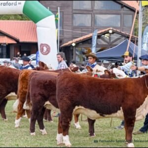 ABHB na Feira Expointer 2026